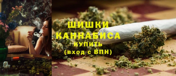 гашик Медногорск