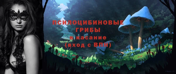 гашик Медногорск