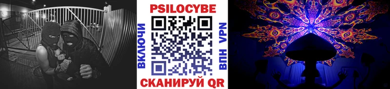 Купить закладки  Эртиль  Псилоцибиновые грибы мухоморы 